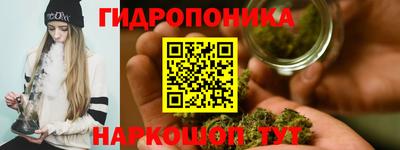 ПСИЛОЦИБИНОВЫЕ ГРИБЫ Гусиноозёрск