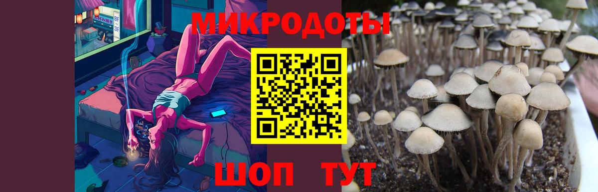 Псилоцибиновые грибы GOLDEN TEACHER  Псилоцибиновые грибы Magic Shrooms  где купить наркоту  Вход с VPN  Орехово-Зуево 